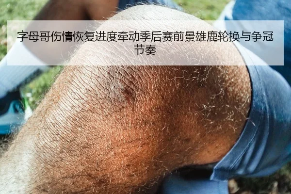 字母哥伤情恢复进度牵动季后赛前景雄鹿轮换与争冠节奏