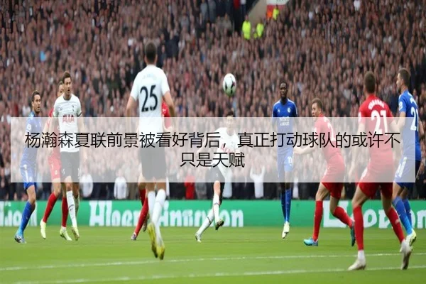 杨瀚森夏联前景被看好背后，真正打动球队的或许不只是天赋